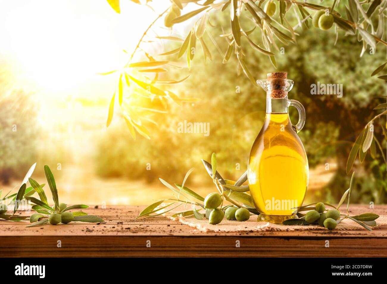 Contenitore in vetro con olio d'oliva su tavola di legno con rami e olive in campo raccolto pieno di alberi di olivo con sole Foto Stock