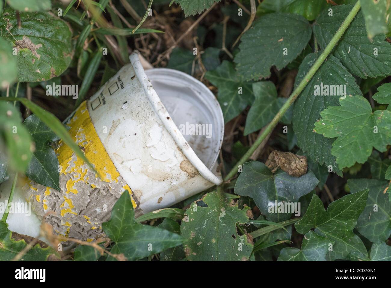 Marca sconosciuta di tazzina di carta da asporto (marcata) con coperchio in plastica, sul lato di una strada di campagna. Concetto di lettiera da asporto, spazzatura del fast food. Foto Stock