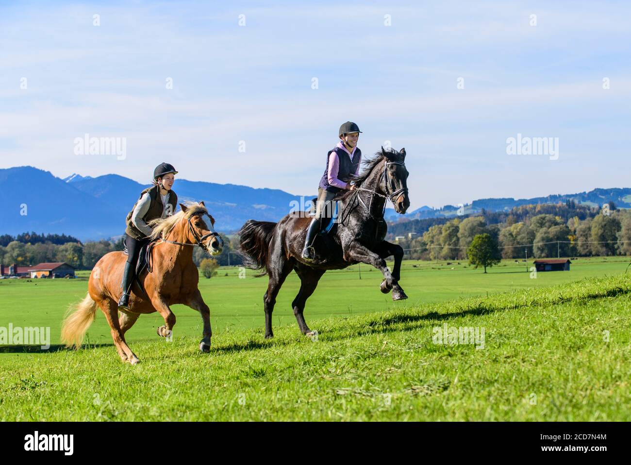 Due donne sportivo in sella ai loro cavalli sul prato in Algovia bavarese Foto Stock