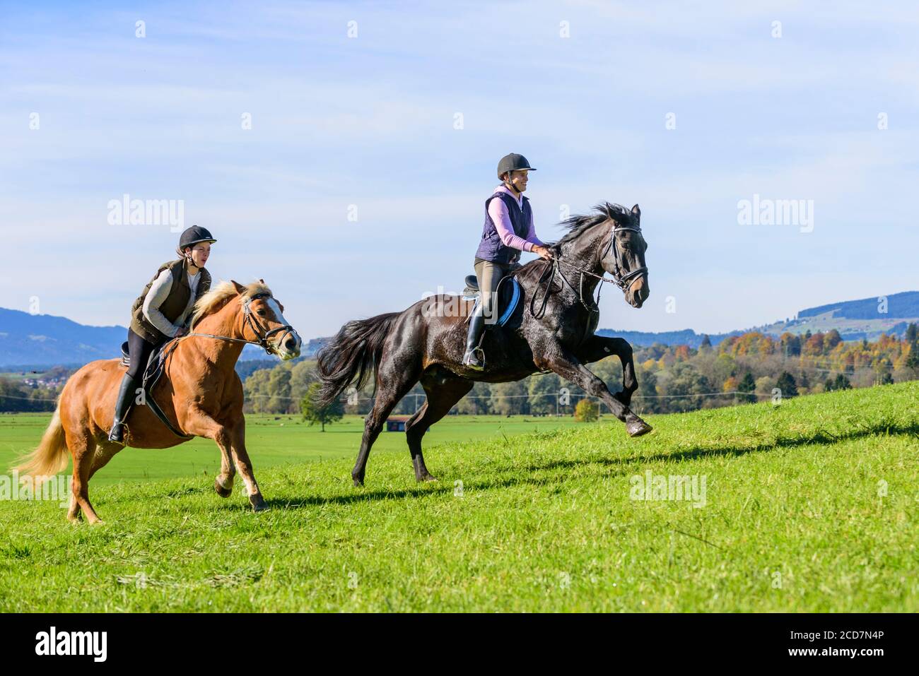 Due donne sportivo in sella ai loro cavalli sul prato in Algovia bavarese Foto Stock