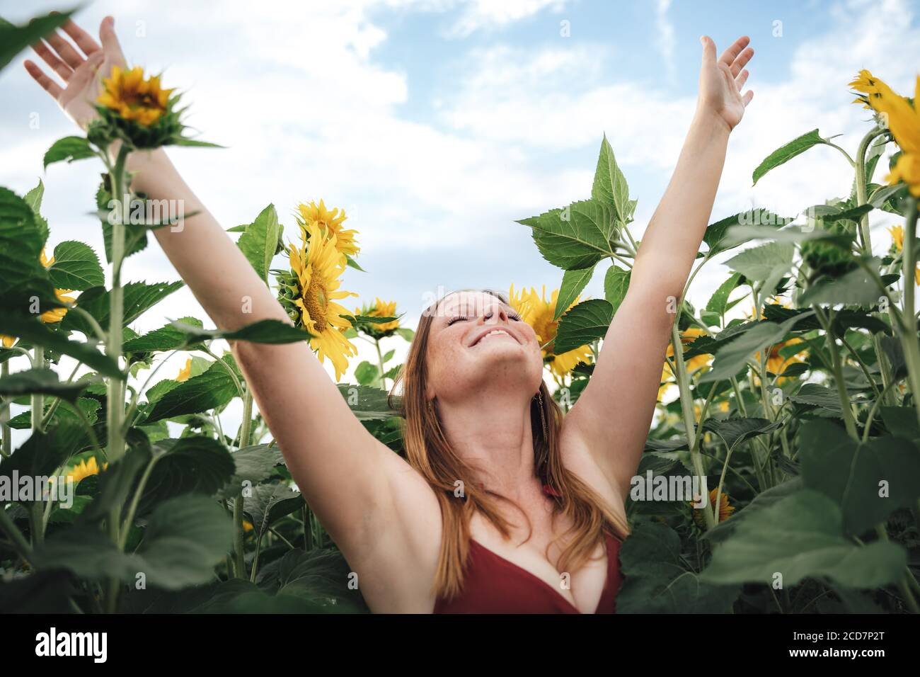 Donna caucasica rilassata e spensierata in piedi con le braccia sollevate dentro campo di girasoli Foto Stock