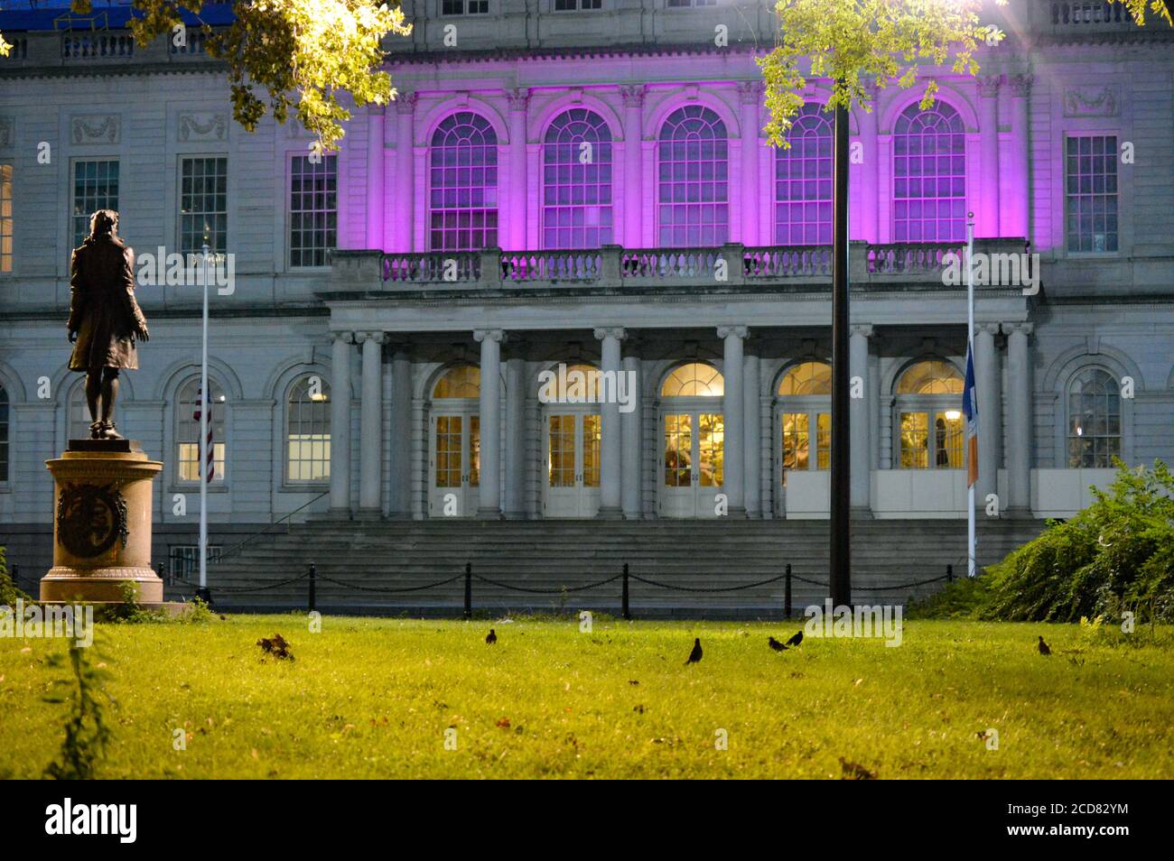 Il municipio di New York City è stato illuminato di viola in onore del centenario del suffragio nella Giornata dell’uguaglianza delle donne (26 agosto 2020). Foto Stock