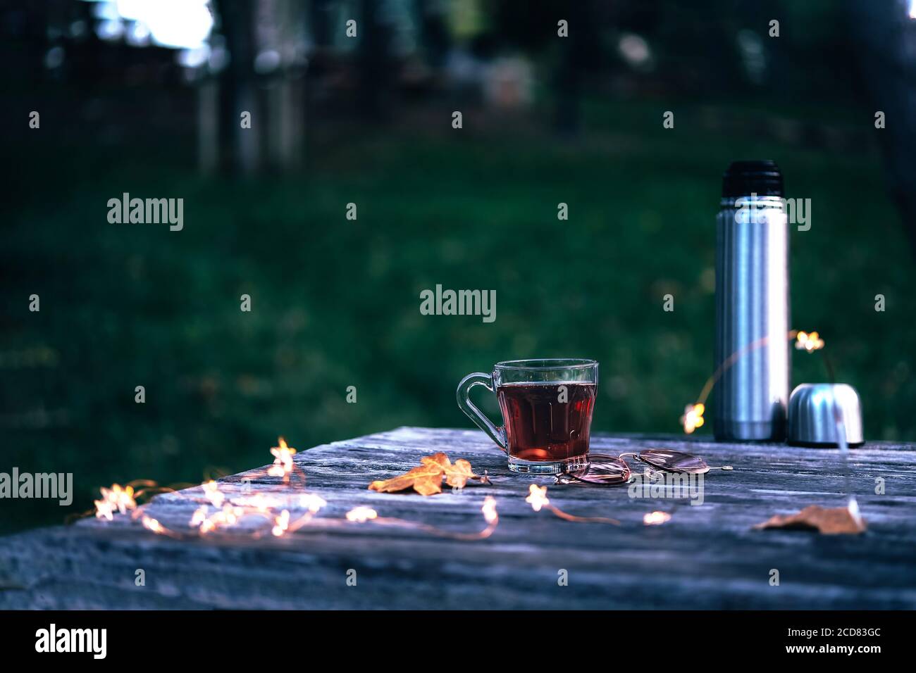Picnic d'autunno nel parco con una tazza di tè caldo, thermos, luci di natale e foglie gialle su rustico tavolo di legno all'aperto . Foto Stock