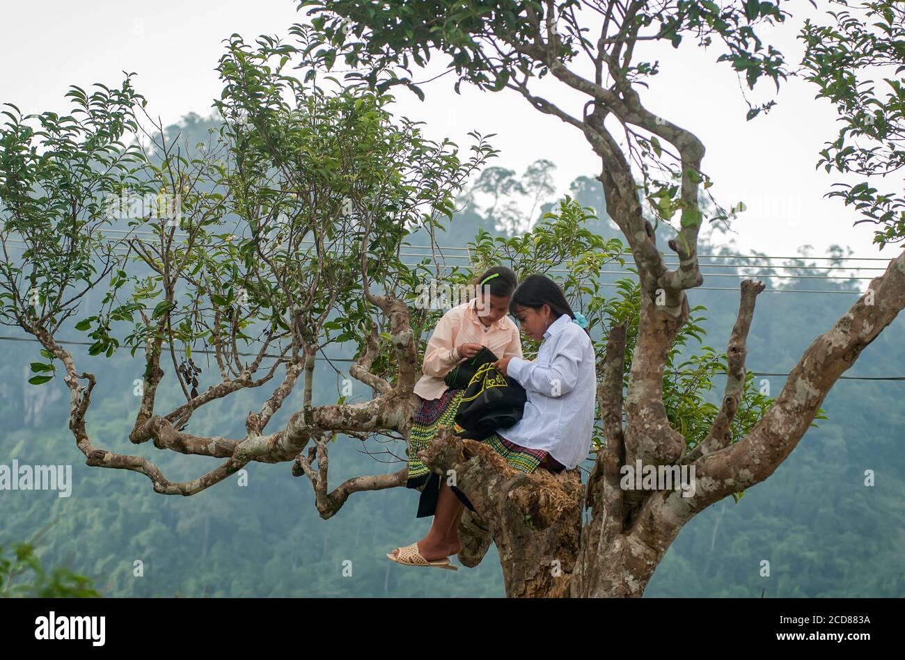 La vita delle minoranze etniche negli altopiani del Nord, Vietnam Foto Stock