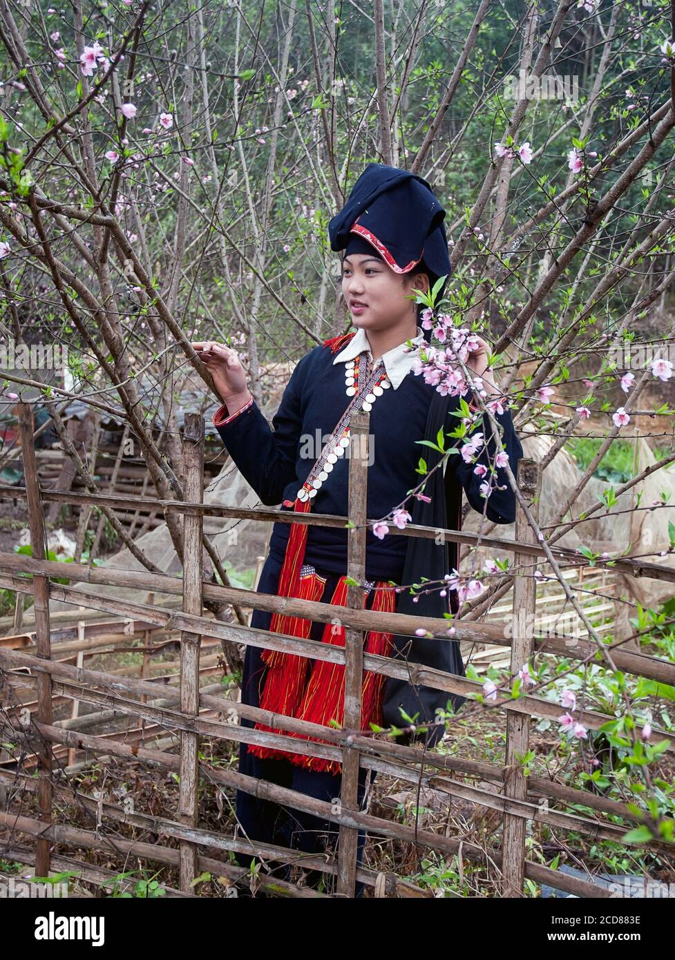 La vita delle minoranze etniche negli altopiani del Nord, Vietnam Foto Stock