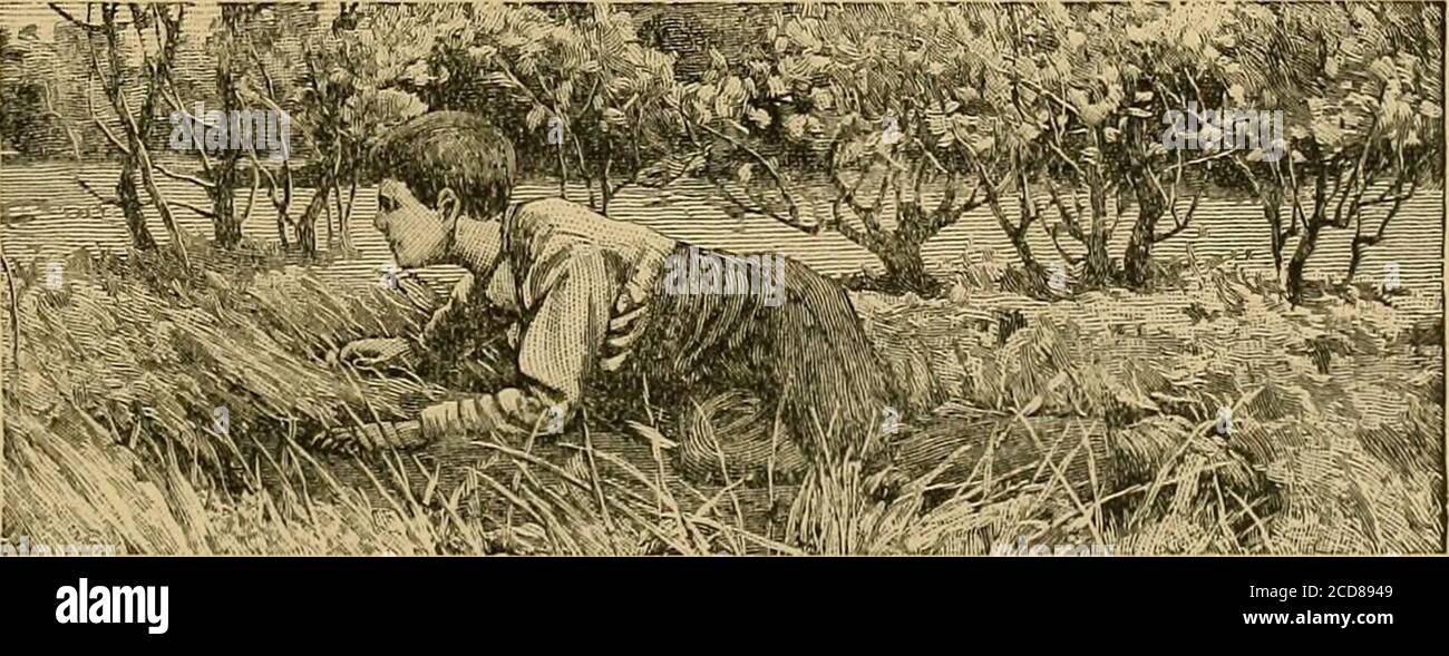 . Wordsworth per i giovani; selezioni con un'introduzione per genitori e insegnanti . AL CUCÙ. 0 BLITHE nuovo-comer! Ho sentito, 1 Ascolta te e rallegrati. 0 cucù! Ti chiamerò uccello, o una voce vagante? Mentre sono sdraiato sulla grassThy due grida sento, da collina a collina sembra passare, subito lontano, e vicino.. Tliough babbling solo alla vale, di sole e di fiori.Tu mi fringest un taleOf ore visionarie. Tre benvenuti, carissimi della Primavera! Anche tu sei per me uccello ISfo, ma una cosa invisibile, una voce, un mistero; ^ ^- Foto Stock