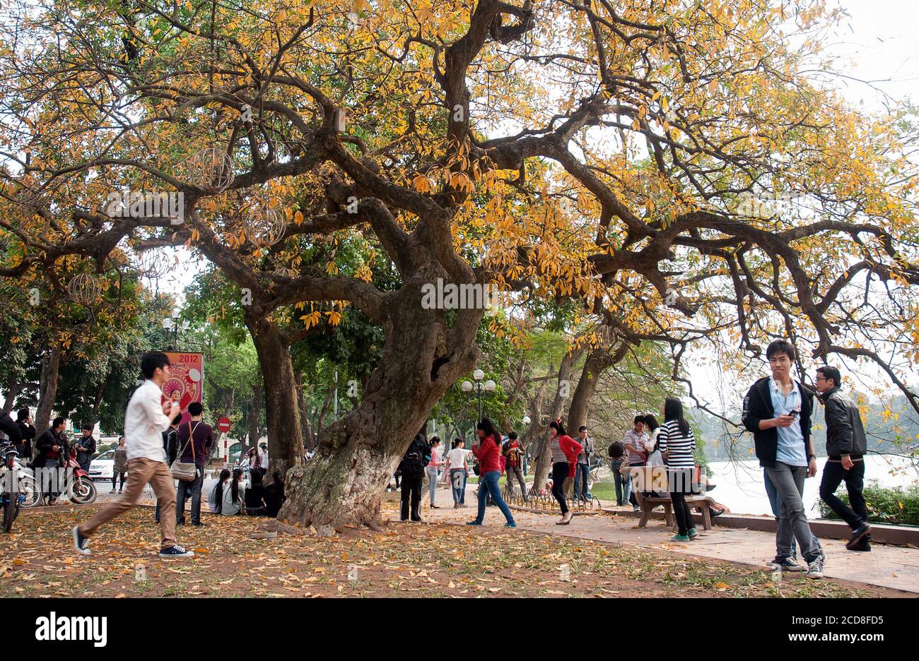 La bellezza della capitale ha noi, Vietnam Foto Stock