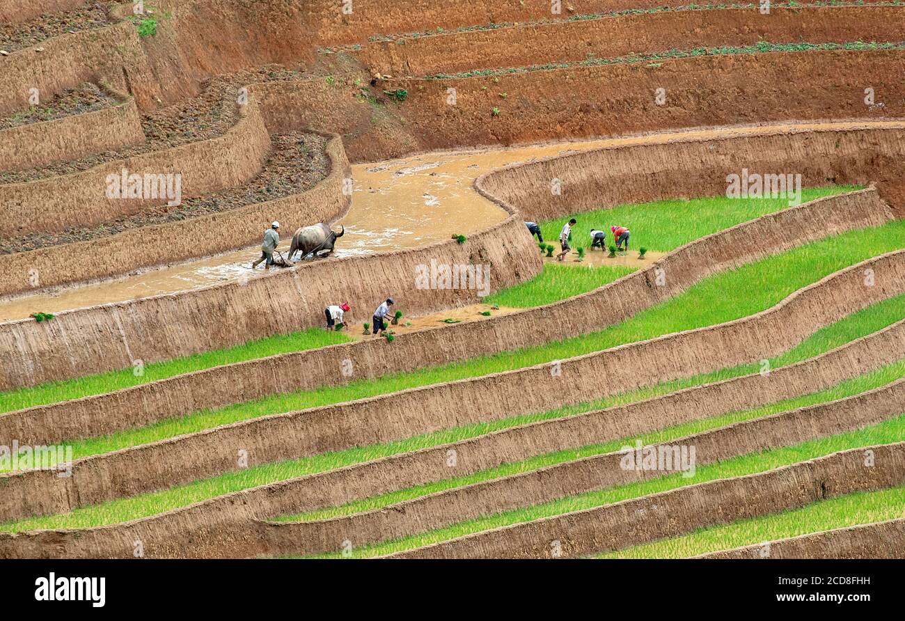 Bellezza paesaggistica, minoranze etniche nella regione montagnosa settentrionale del Vietnam Foto Stock