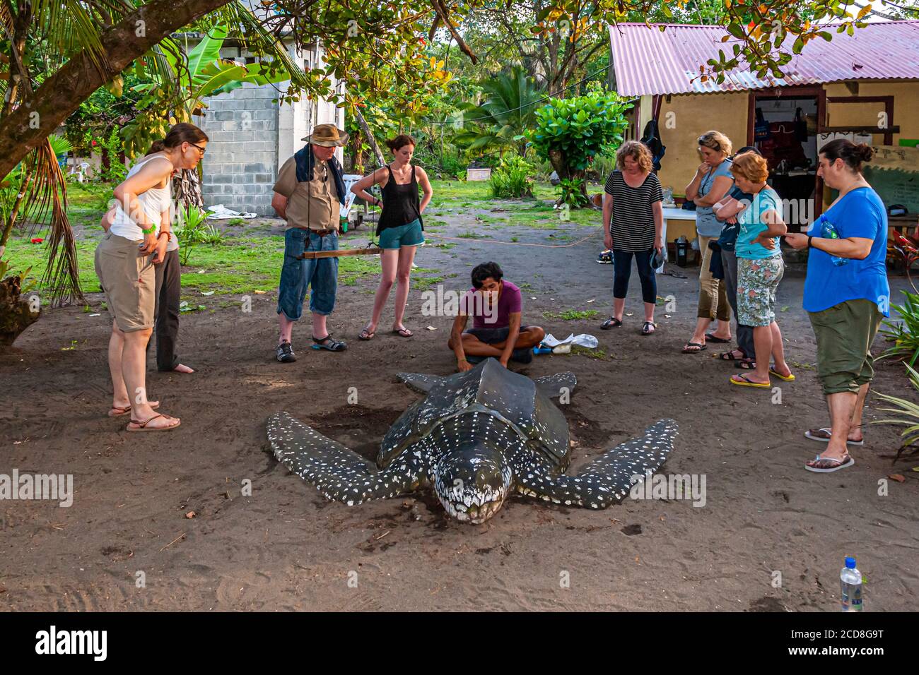 Biosphere Citizen Scientist Project Camp per salvare le tartarughe marine a Reventazón, Costa Rica Foto Stock