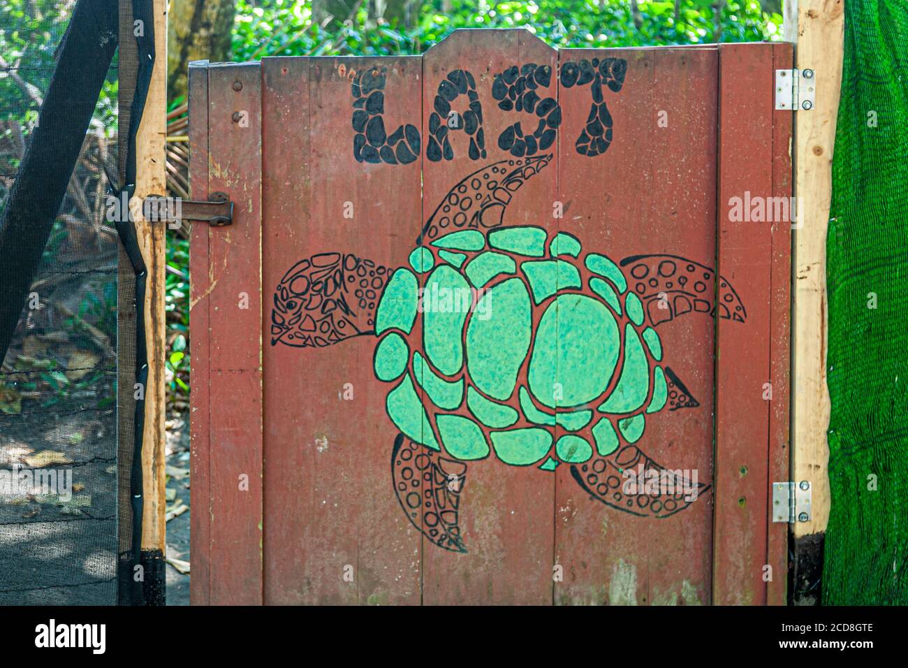 Biosphere Citizen Scientist Project Camp per salvare le tartarughe marine a Reventazón, Costa Rica Foto Stock