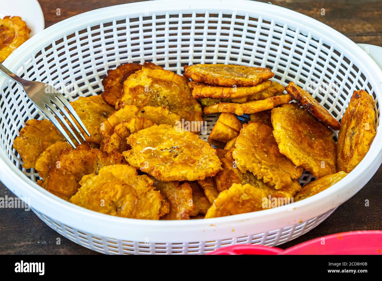 Biosphere Citizen Scientist Project Camp per salvare le tartarughe marine a Reventazón, Costa Rica Foto Stock