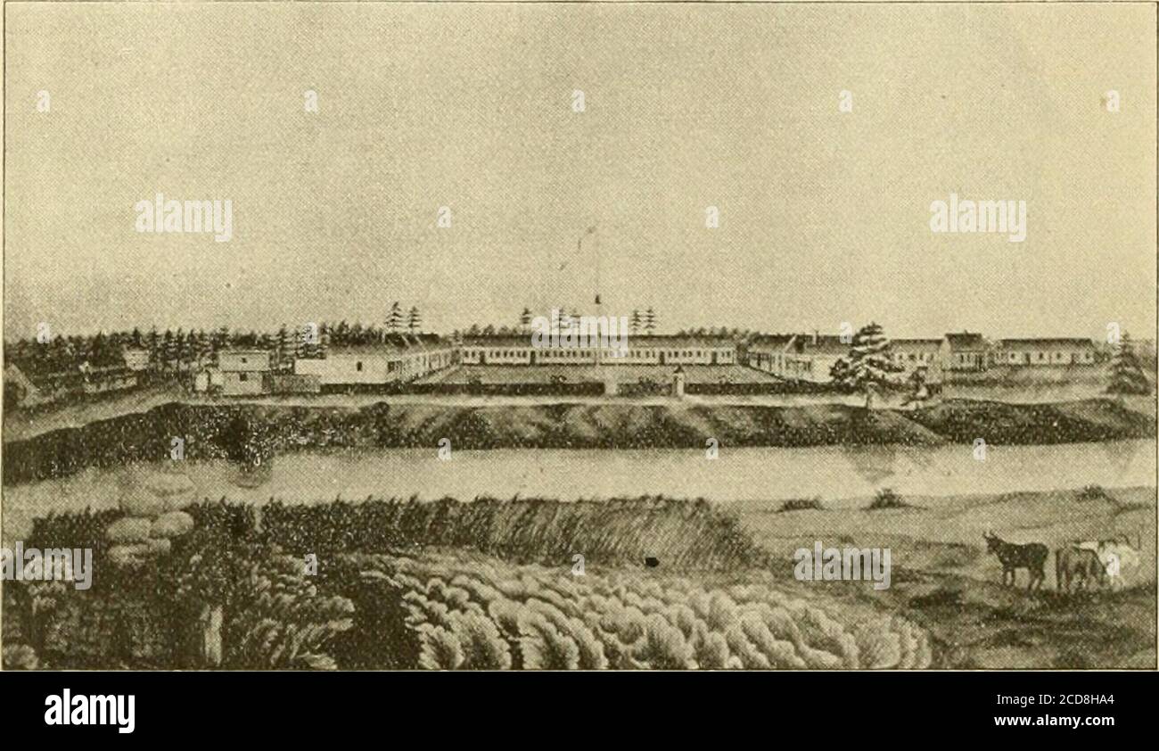 . Mezzo secolo di Minnesota come territorio e stato; un resoconto conciso dei principali eventi nel periodo di scoperta, esplorazione e insediamento, e durante la metà del secolo di governo territoriale e statale. I difensori due toone e sono stati infinitamente meglio armati. AF-ter bruciando la città e guidando i thewites in una stockade, gli indiani wereforded al ritiro. Lunedì le rovine della città sono state abbandonate e gli inliabi-lanti e i volontari stanche hanno fatto il loro ritiro a Mankato. Uomini. Reclutati grezzi e indisciplinati, volontari citi-zen e cosa no. Si feriscono armati, ma un Foto Stock