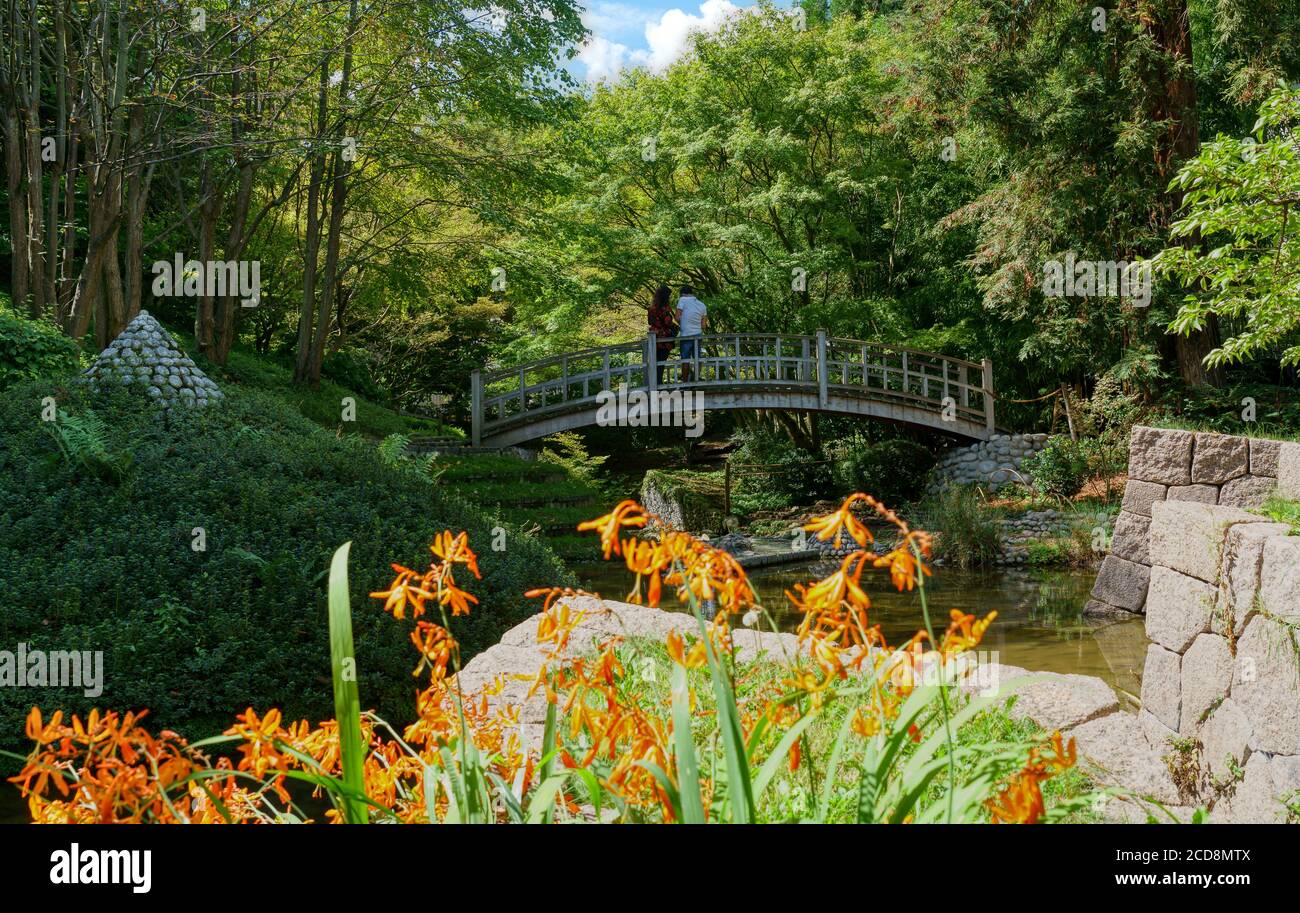 Ponte di legno giapponese in Albert Kahn Garden - Boulogne-Billancourt - Francia Foto Stock