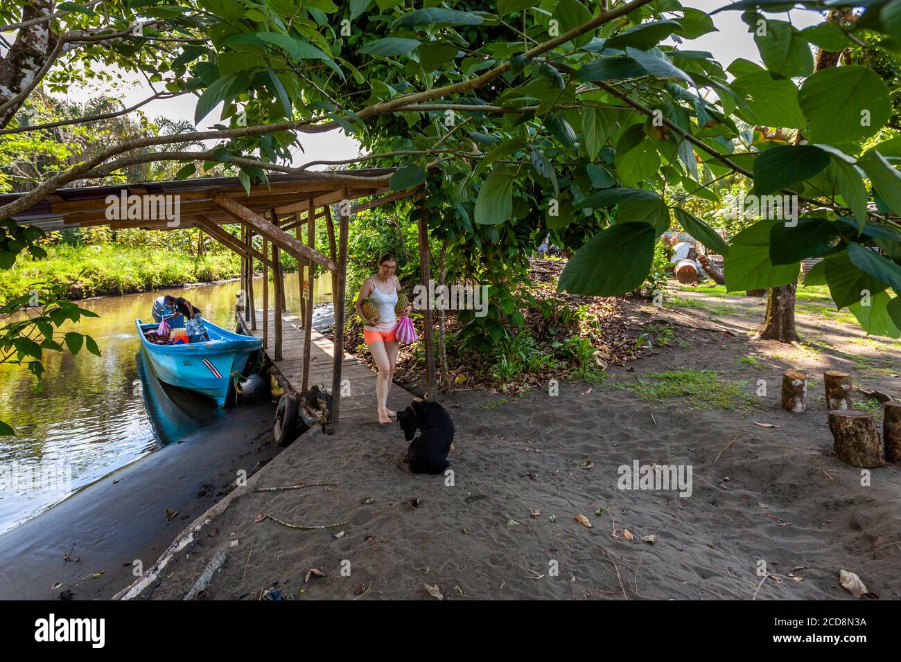 Biosphere Citizen Scientist Project Camp per salvare le tartarughe marine a Reventazón, Costa Rica Foto Stock
