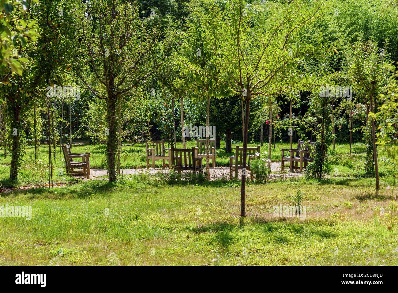 Giardino di rose nel giardino Albert Kahn - Boulogne-Billancourt - Francia Foto Stock