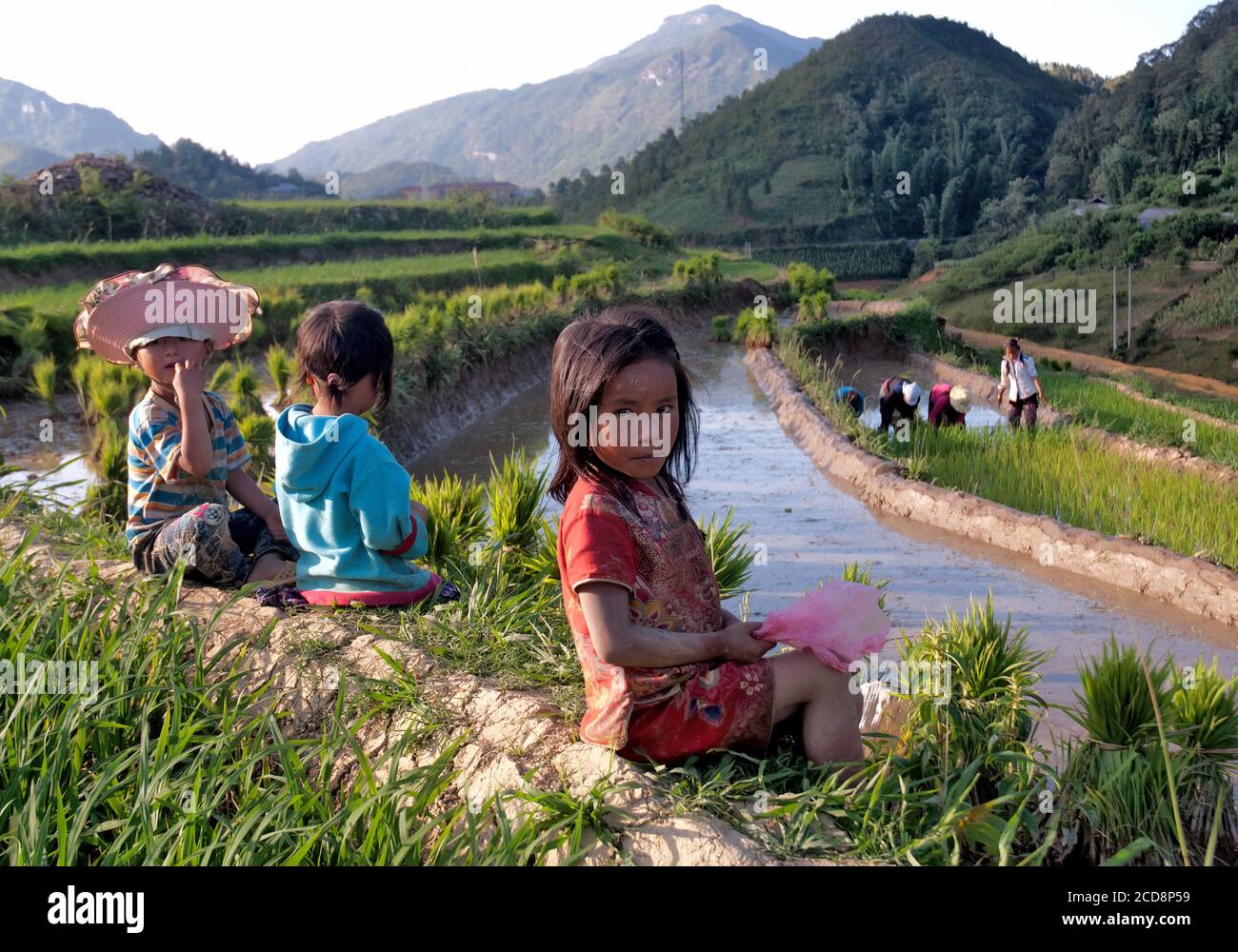 Bellezza paesaggistica, minoranze etniche nella regione montagnosa settentrionale del Vietnam Foto Stock