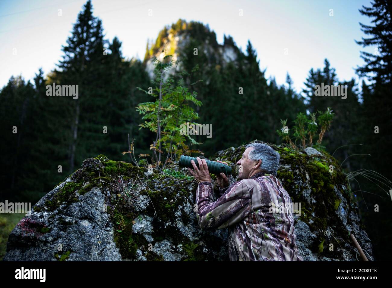 Francia, alta Savoia, valle d'Abondance, la Chapelle d'Abondance, riserva di caccia del Mont de Grange Foto Stock