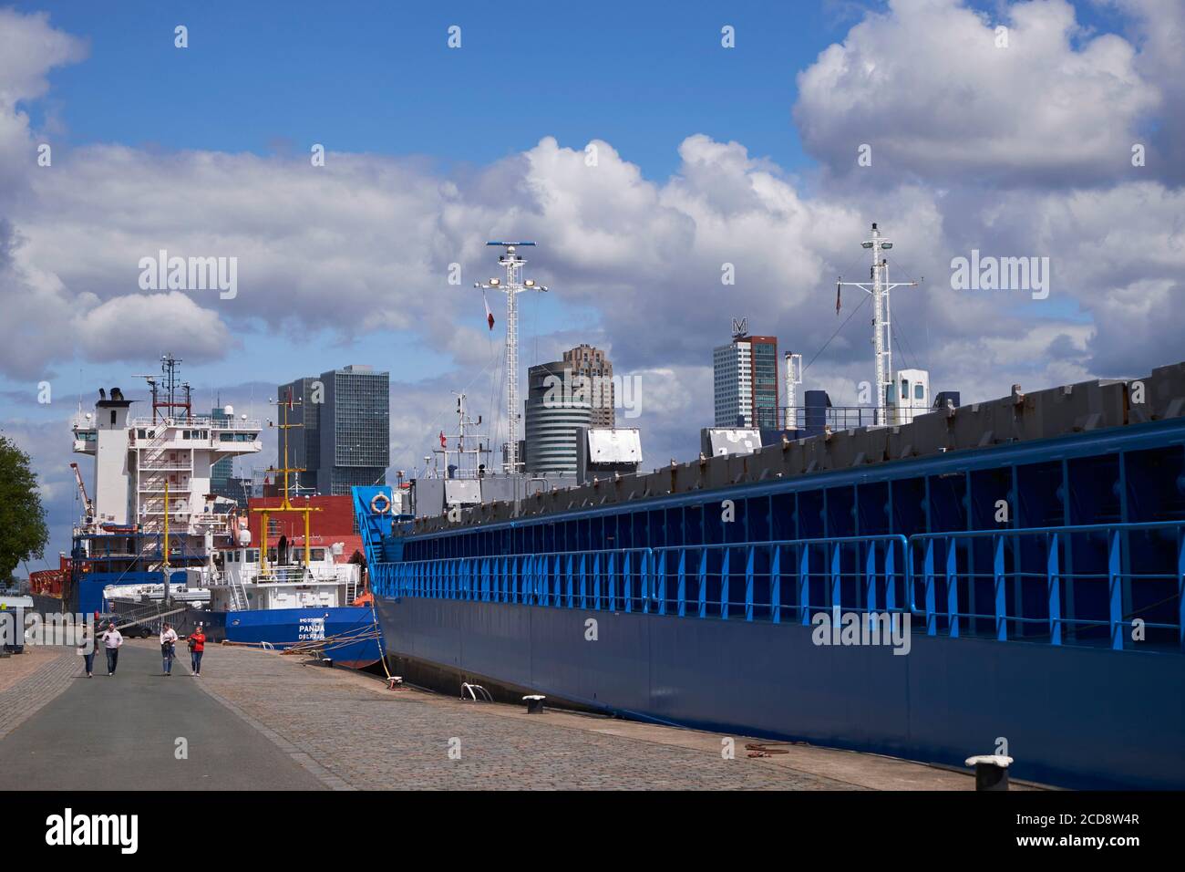 Olanda meridionale, Rotterdam, porto (Bartel Wiltonkade) Foto Stock