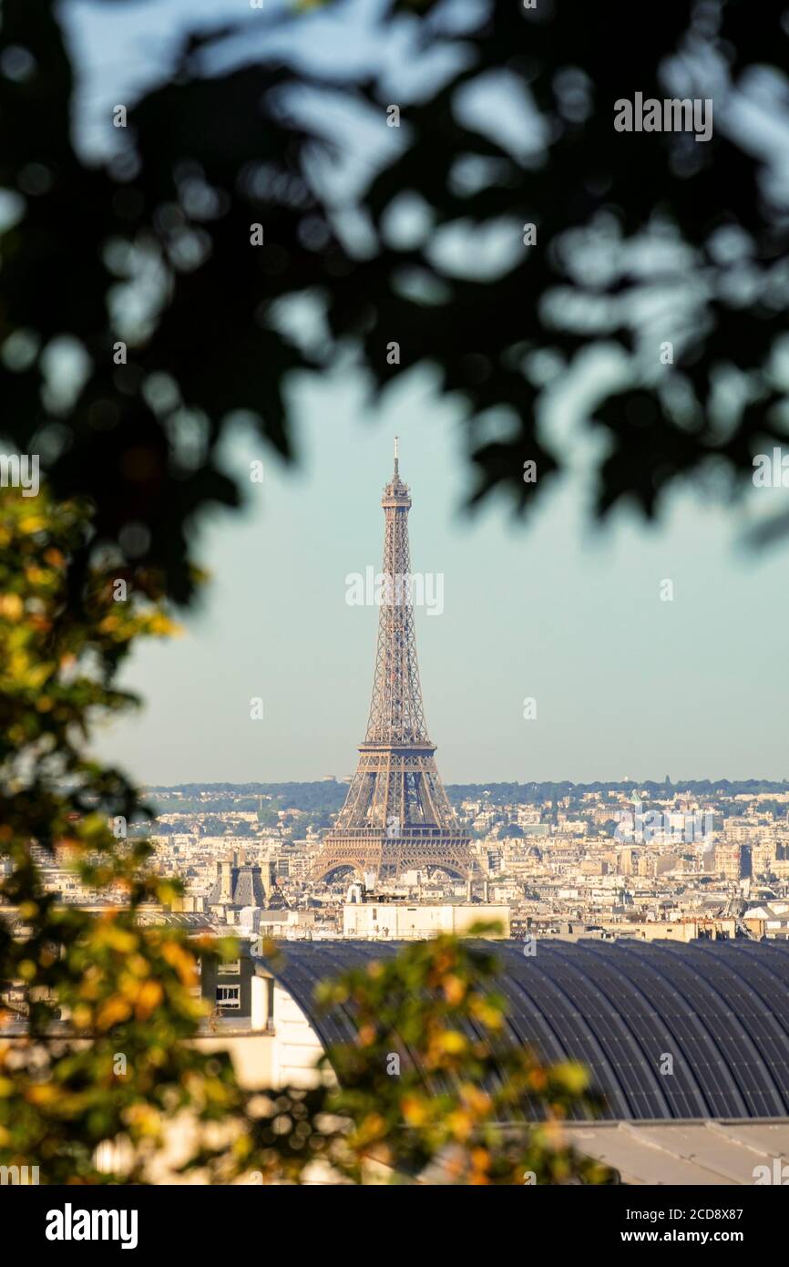 Francia, Parigi, vista generale con la Torre Eiffel Foto Stock