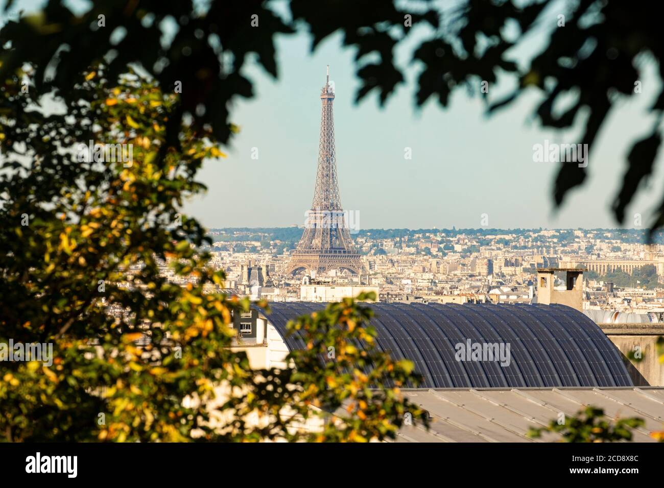 Francia, Parigi, vista generale con la Torre Eiffel Foto Stock