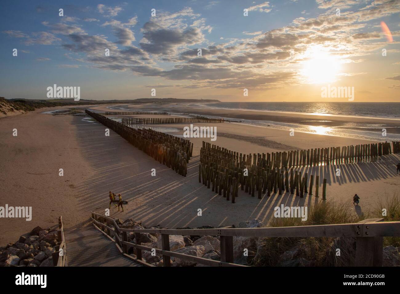 Francia, Pas de Calais, Wissant, i pali di breakwater per rallentare l'erosione della costa Foto Stock