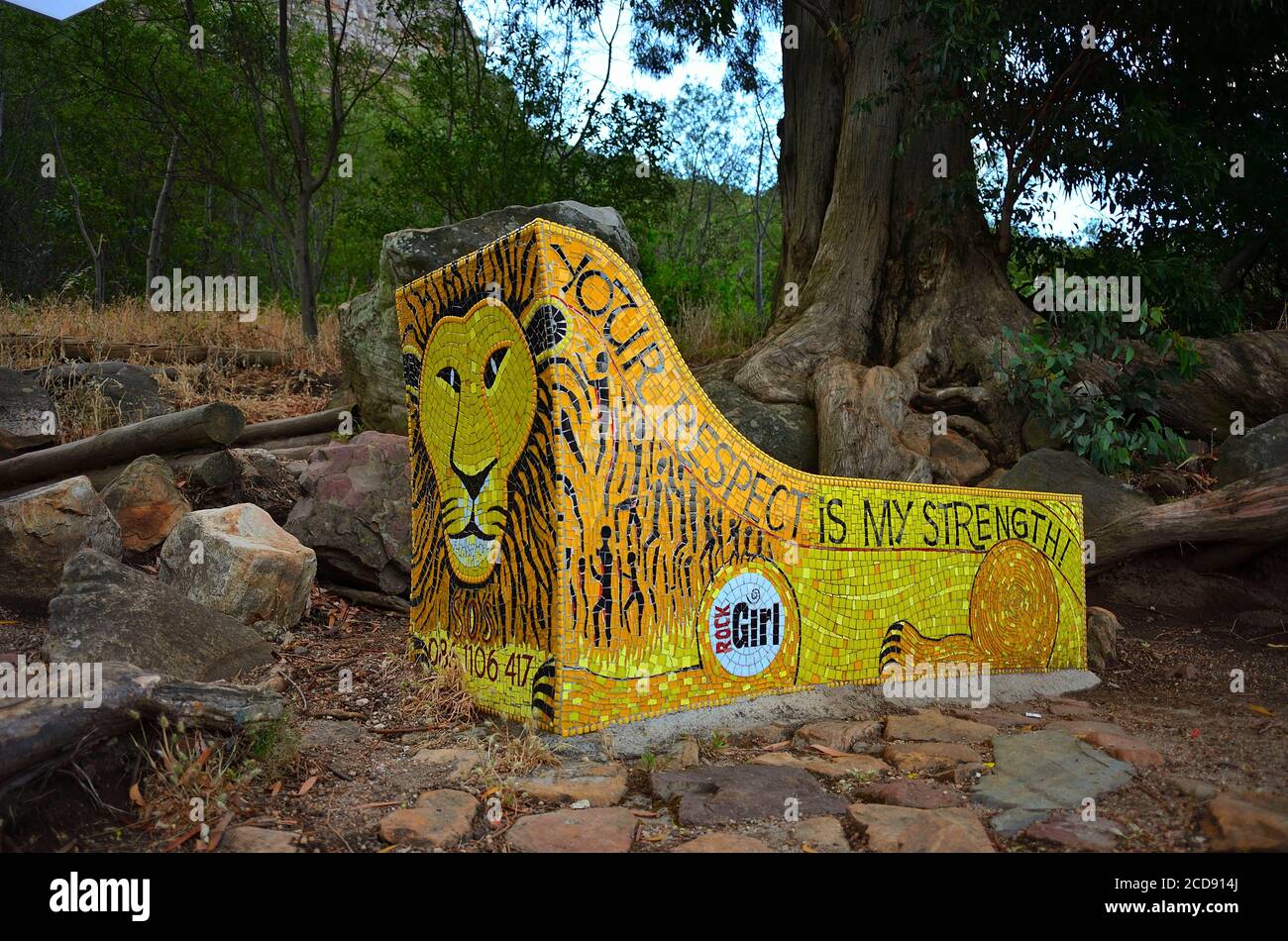 Sud di Città del Capo, Lion's Head Foto Stock