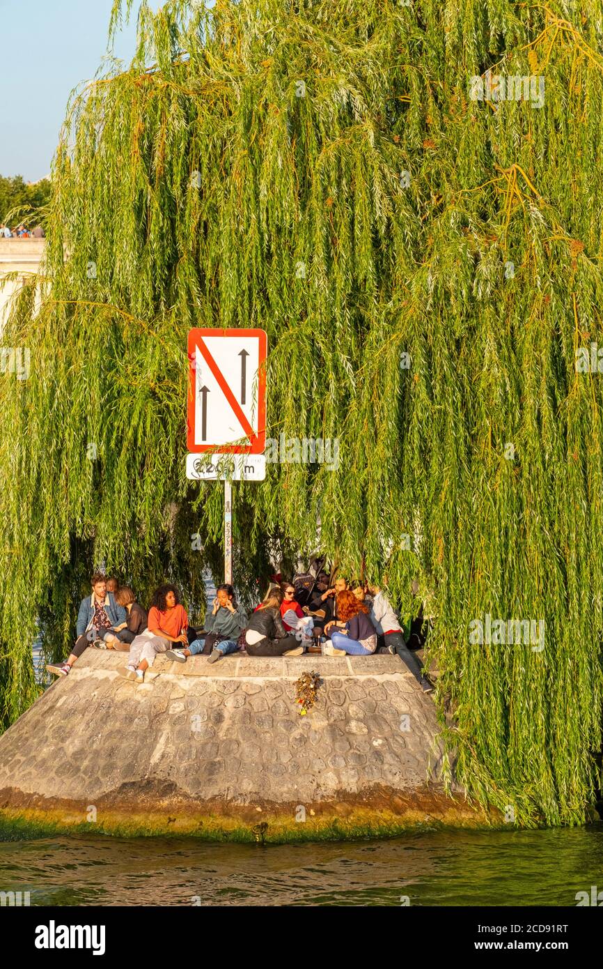 Francia, Parigi, zona dichiarata Patrimonio dell'Umanità dall'UNESCO, Piazza Green Galant e l'Ile de la Cite Foto Stock
