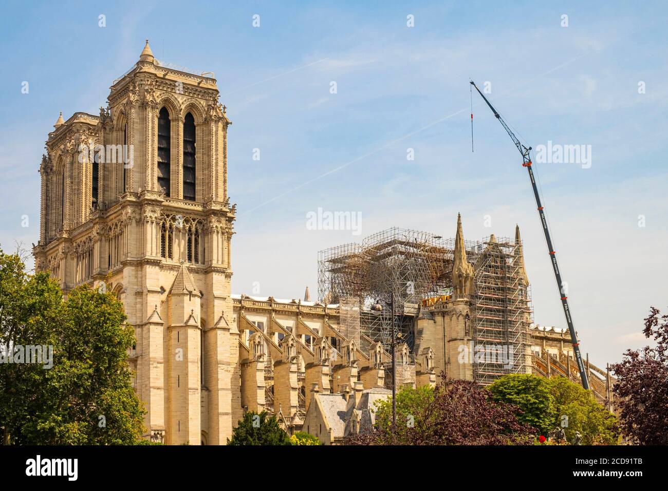 Francia, Parigi, zona elencata come patrimonio mondiale dall'UNESCO, la cattedrale di Notre Dame a Parigi Foto Stock