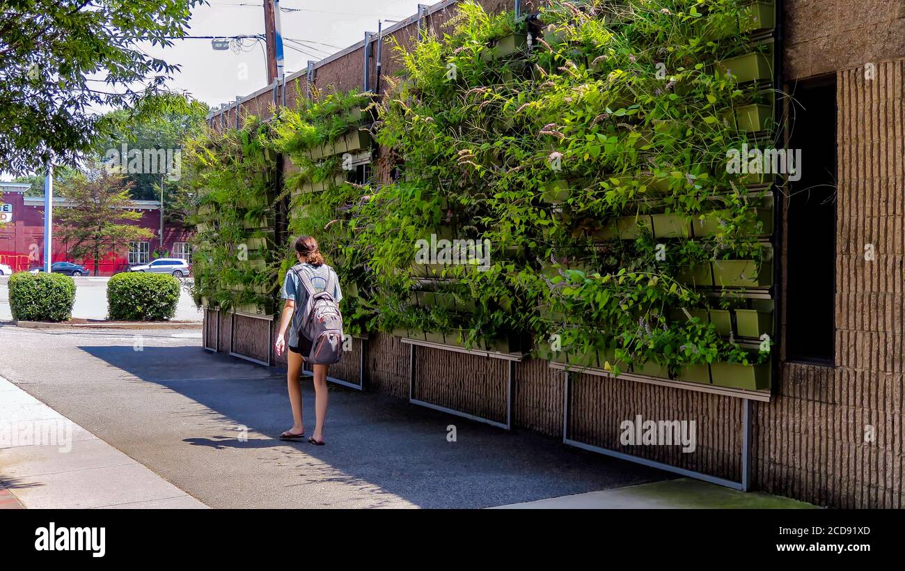 Muro verde verticale urbano Foto Stock