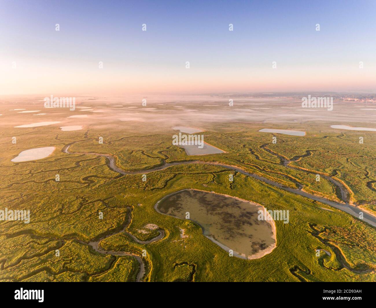 Francia, Somme, Baia della Somme, Noyelles-sur-mer, i prati salati della Baia della Somme al mattino presto con i canali e stagni di capanne di caccia, un po 'di nebbia (vista aerea) Foto Stock
