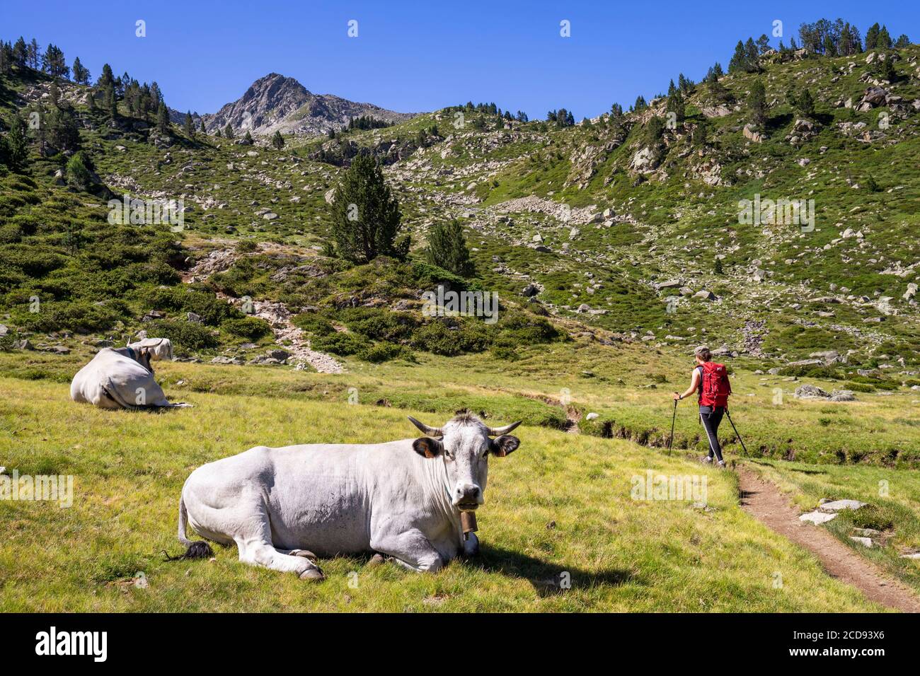 Francia, Hautes Pyrenees, GR10 sentiero escursionistico, a piedi al Passo Madamete (2509 m) Foto Stock
