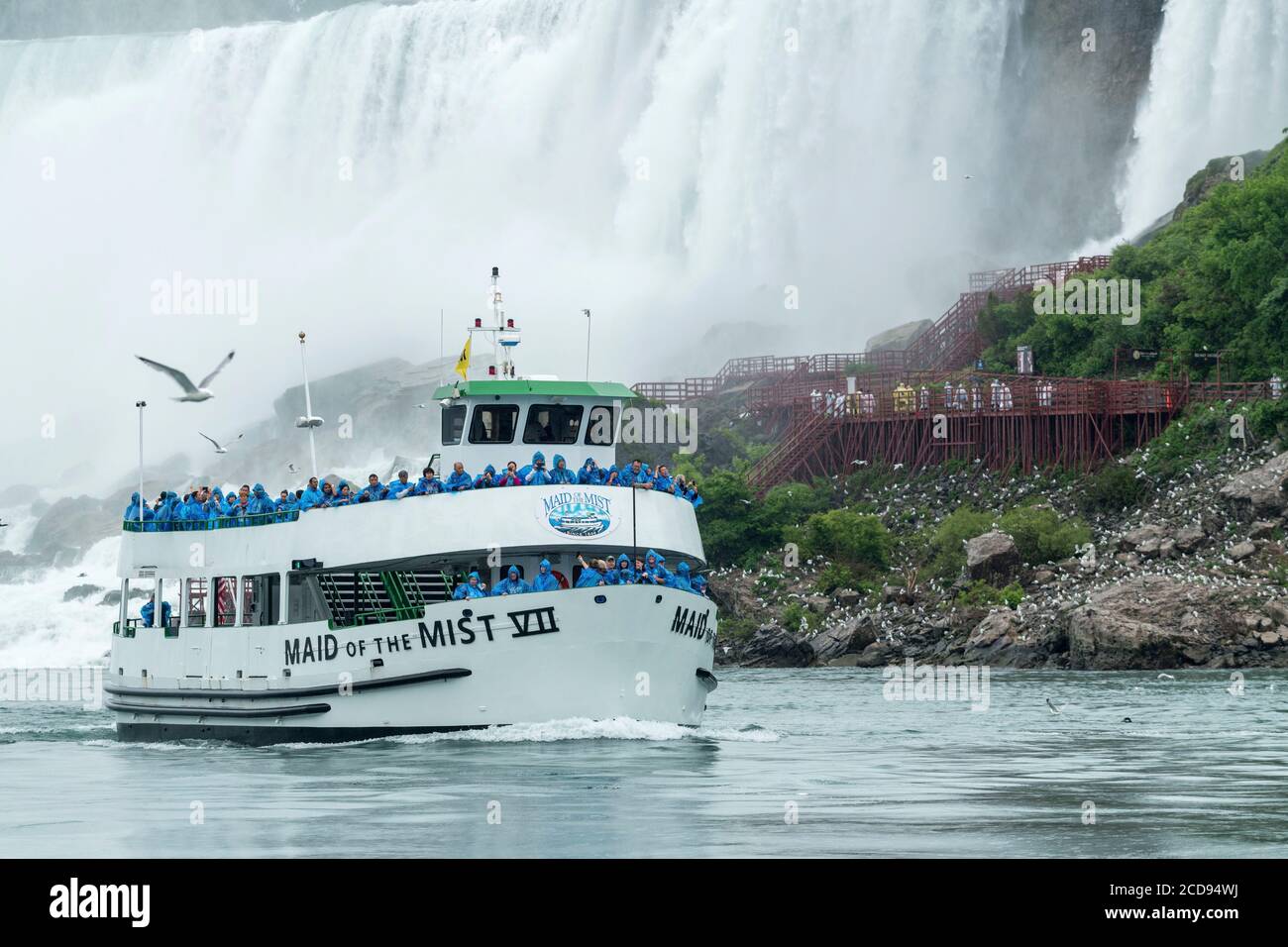 Canada, Ontario, Cascate del Niagara, tour in barca di fronte alla parte americana delle Cascate del Niagara Foto Stock