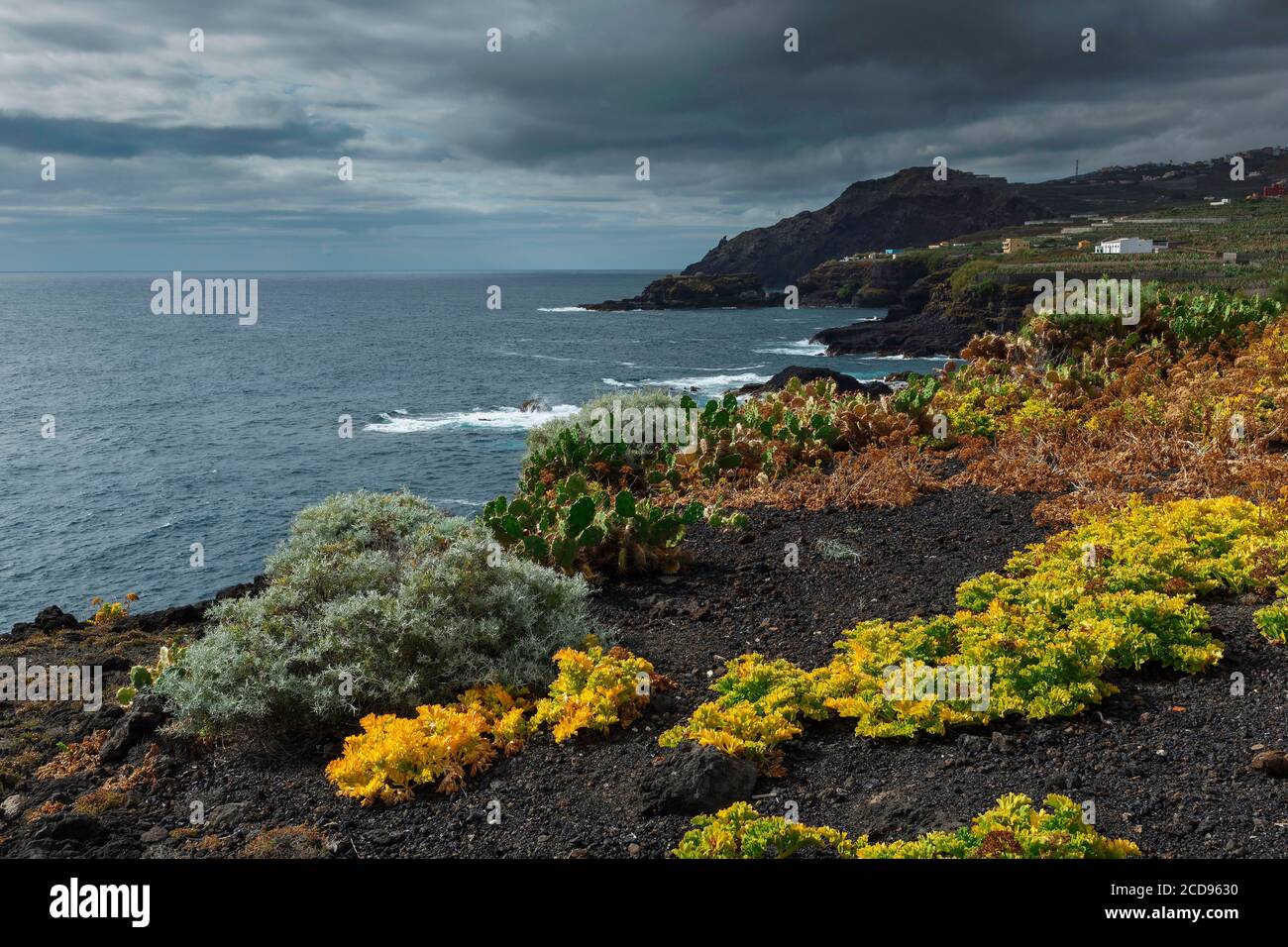 Spagna, Isole Canarie, la Palma, vista di una costa rocciosa e vulcanica sotto un clima tropicale e oceanico Foto Stock