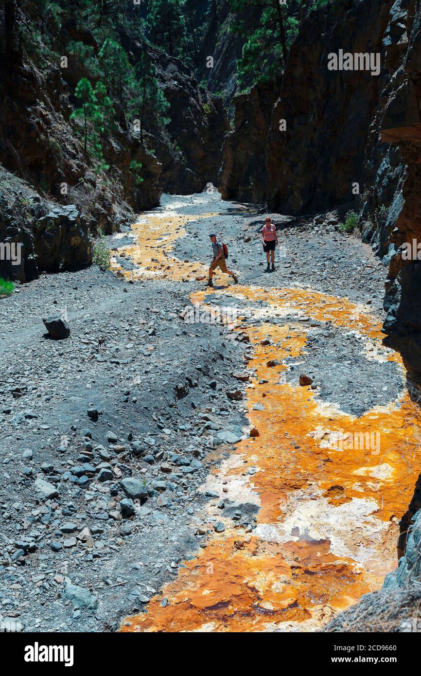 Spagna, Isole Canarie, la Palma, escursionisti in un canyon essiccato in un ambiente montuoso e vulcanico Foto Stock