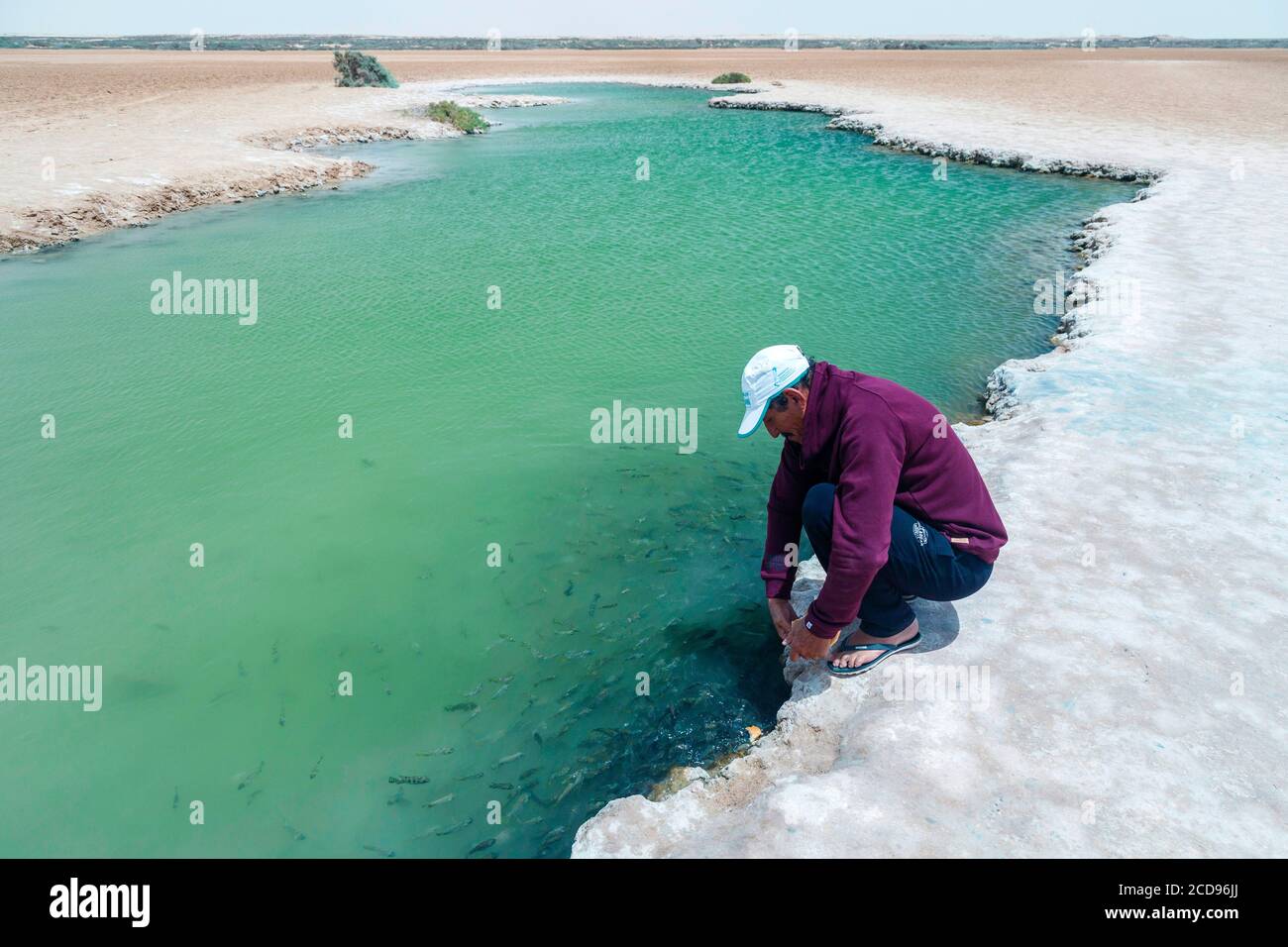 Marocco, Oued ed-Dahab, Dakhla, Imlili, personaggio ai margini di una buca d'acqua salata nel mezzo del deserto Foto Stock