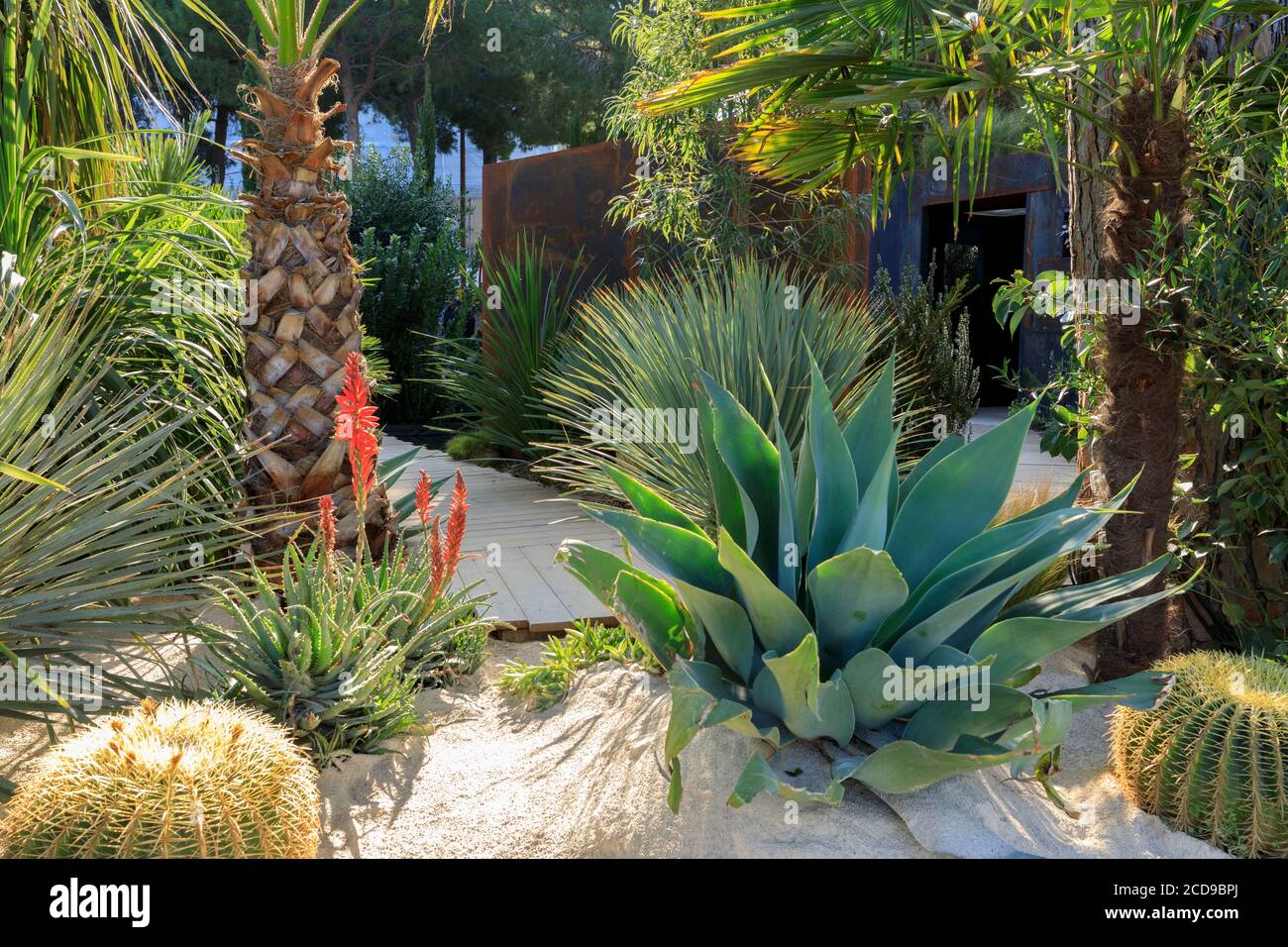 Francia, Alpes Maritimes, Antibes Juan les Pins, Garden Festival della Costa Azzurra 2019, Garden da una banca ad un altro Passion Garden di Jeremie Boissiere, Cedric Eygrier, Lawrence Buron, Lucas Michel, Alan Bontoux Calot e Sylvere Fournier Foto Stock