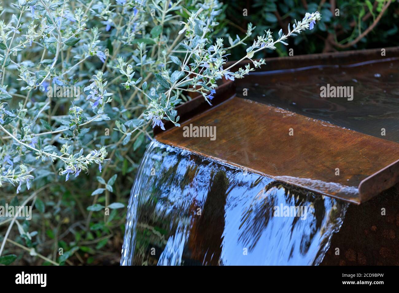 Francia, Alpes Maritimes, Antibes Juan les Pins, Garden Festival della Costa Azzurra 2019, Garden da una banca ad un altro Passion Garden di Jeremie Boissiere, Cedric Eygrier, Lawrence Buron, Lucas Michel, Alan Bontoux Calot e Sylvere Fournier Foto Stock