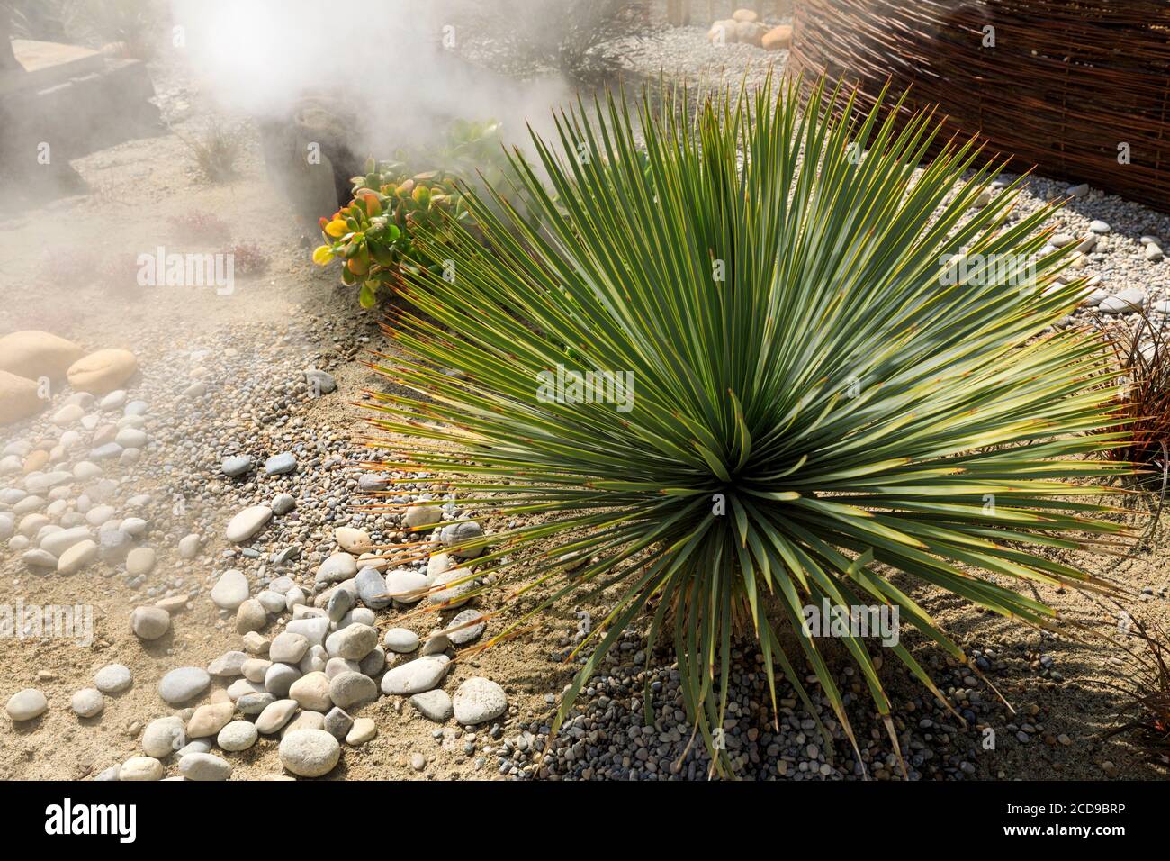 Francia, Alpes Maritimes, Menton, Festival dei Giardini della Costa Azzurra 2019, Giardino viaggio semi Workshop di paesaggi luoghi 10 di Johanna Bonella e Abel Flosi Foto Stock