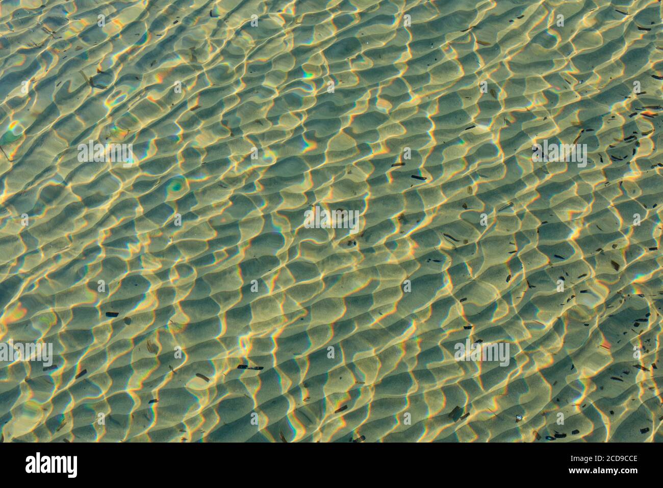 Francia, Var, la Londe Les Maures, spiaggia di Argentiere Foto Stock