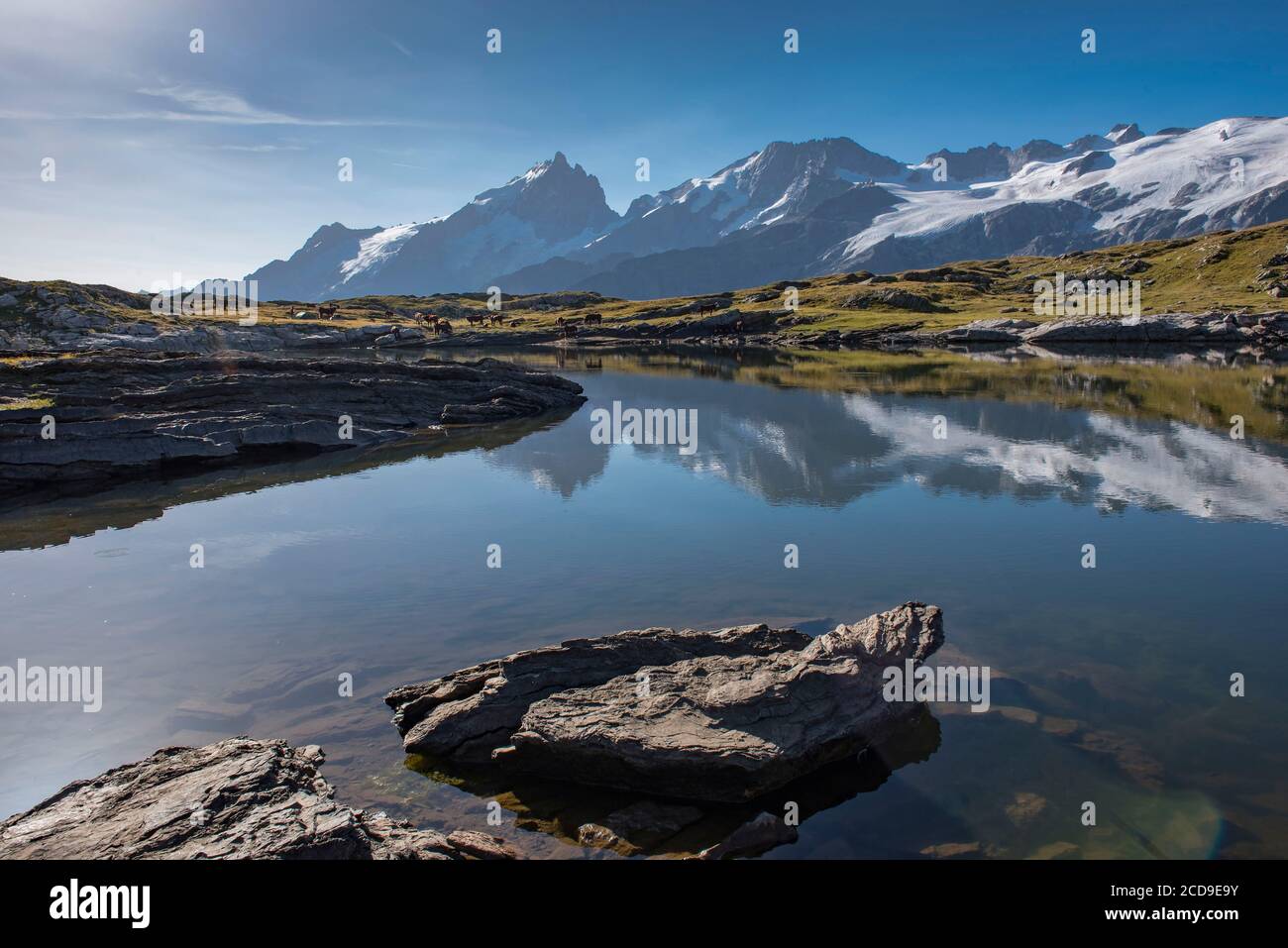 Francia, Hautes Alpes , la grave, sull'altopiano di Emparis il Lago Nero di fronte al massiccio di Meije Foto Stock