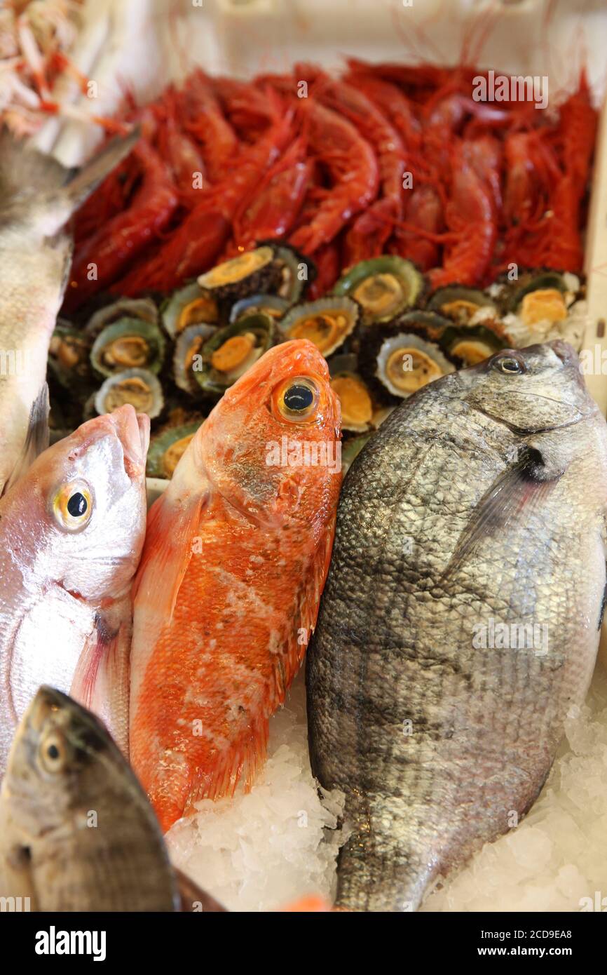 Marocco, Tangeri Tetouan regione, Tangeri, pesci colorati e gamberi su una stalla souk Foto Stock