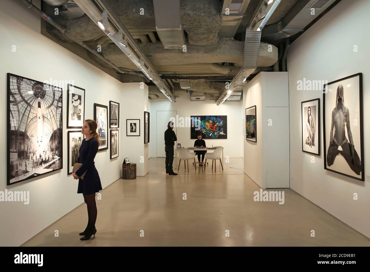 Francia, Parigi, Royal Monceau hotel, giovane donna che visita Art Photo Expo, la Royal Monceau galleria d'arte contemporanea Foto Stock