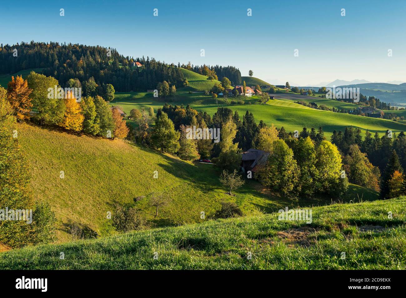 Svizzera, Cantone di Berna, Valle dell'Emme, ripido paesaggio collinare, tipico della regione dell'Emmental, punteggiato da tradizionali fattorie in legno nei pressi di Eggiwil Foto Stock