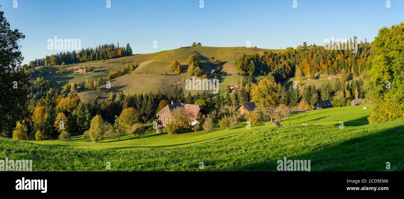 Svizzera, Cantone di Berna, Valle dell'Emme, panoramica del paesaggio collinare ripido, tipico della regione dell'Emmental, punteggiata da tradizionali fattorie in legno nei pressi di Eggiwil Foto Stock