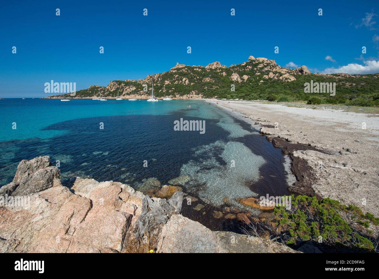 Francia, Corse du Sud, la torre genovese e la roccia del leone dominano la cala de Roccapina Foto Stock
