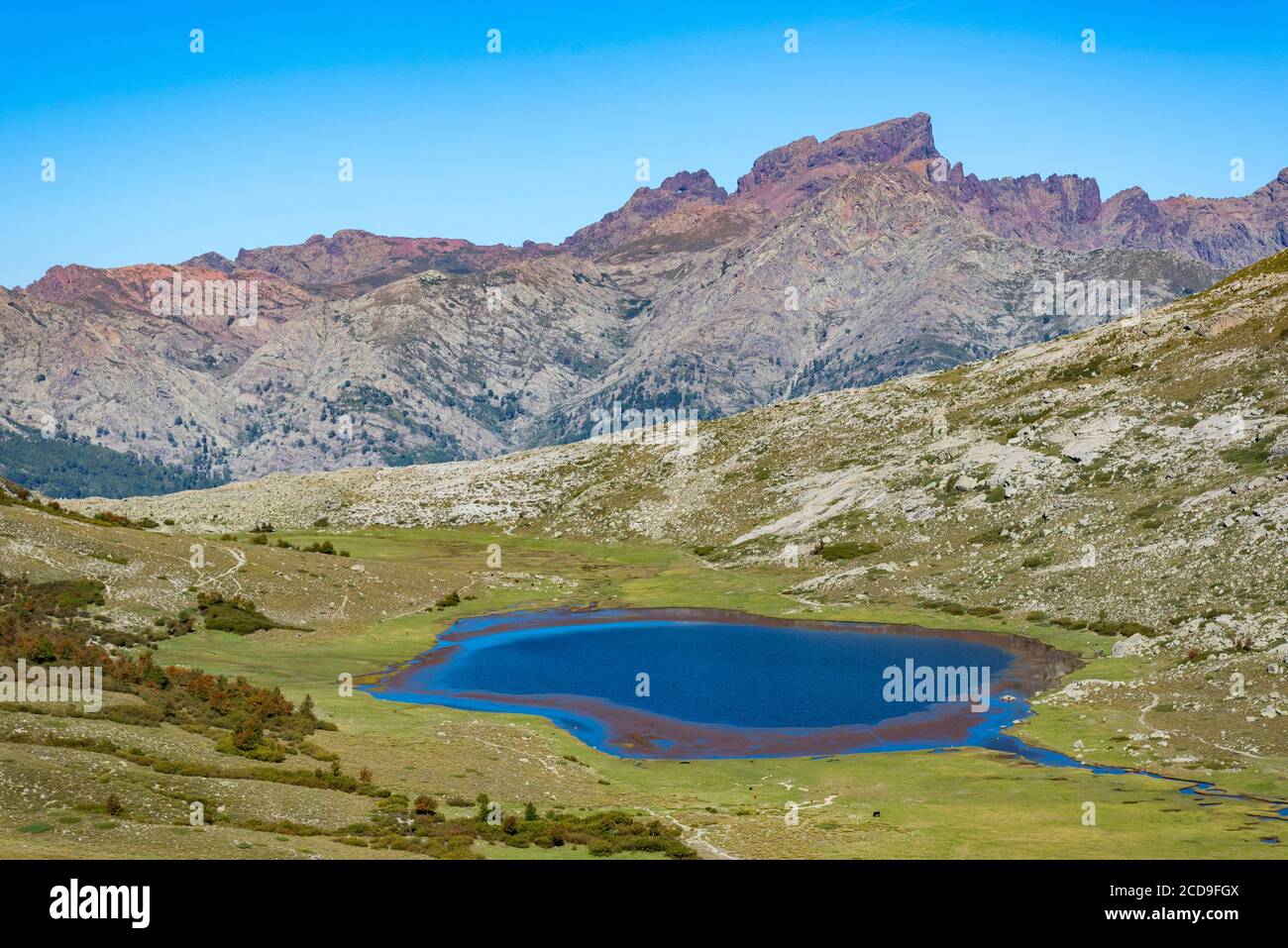 Francia, Haute Corse, Corte, Valle Restonica, sorvolando i laghi del Parco Naturale Regionale qui il Lago di Nino sulla GR20 circondata da pozzine e il buco di Capu Tafunatu, il collare dei Mori e paglia Orba (vista aerea) Foto Stock