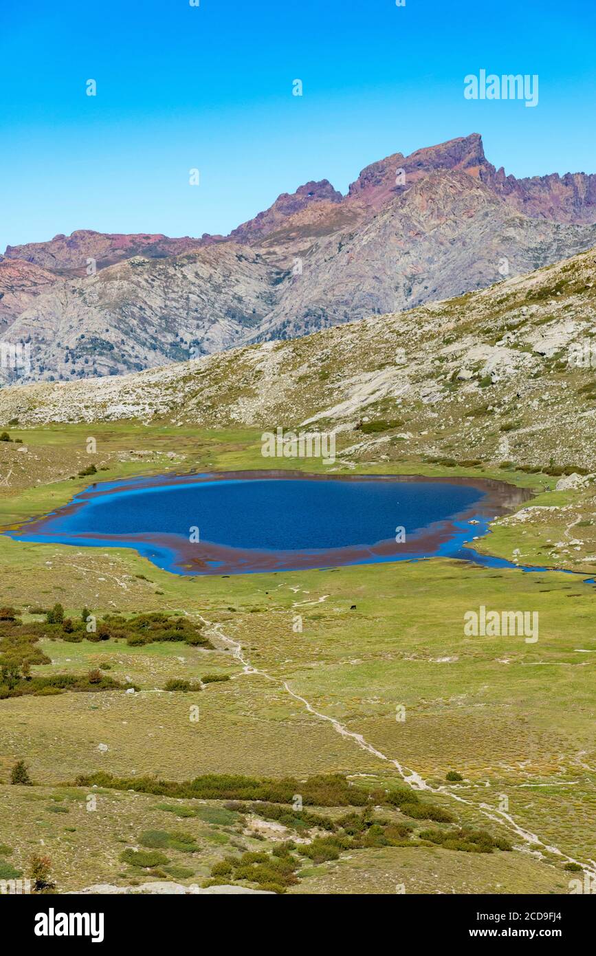 Francia, Haute Corse, Corte, Valle Restonica, sorvolando i laghi del Parco Naturale Regionale qui il Lago di Nino sulla GR20 circondata da pozzine e il buco di Capu Tafunatu, il collare dei Mori e paglia Orba (vista aerea) Foto Stock