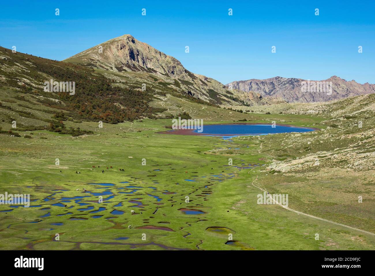Francia, Haute Corse, Corte, Valle Restonica, sorvolando i laghi del Parco Naturale Regionale qui il Lago Nino sulla GR20 circondata da Pozzine e Capu Tozzu (vista aerea) Foto Stock