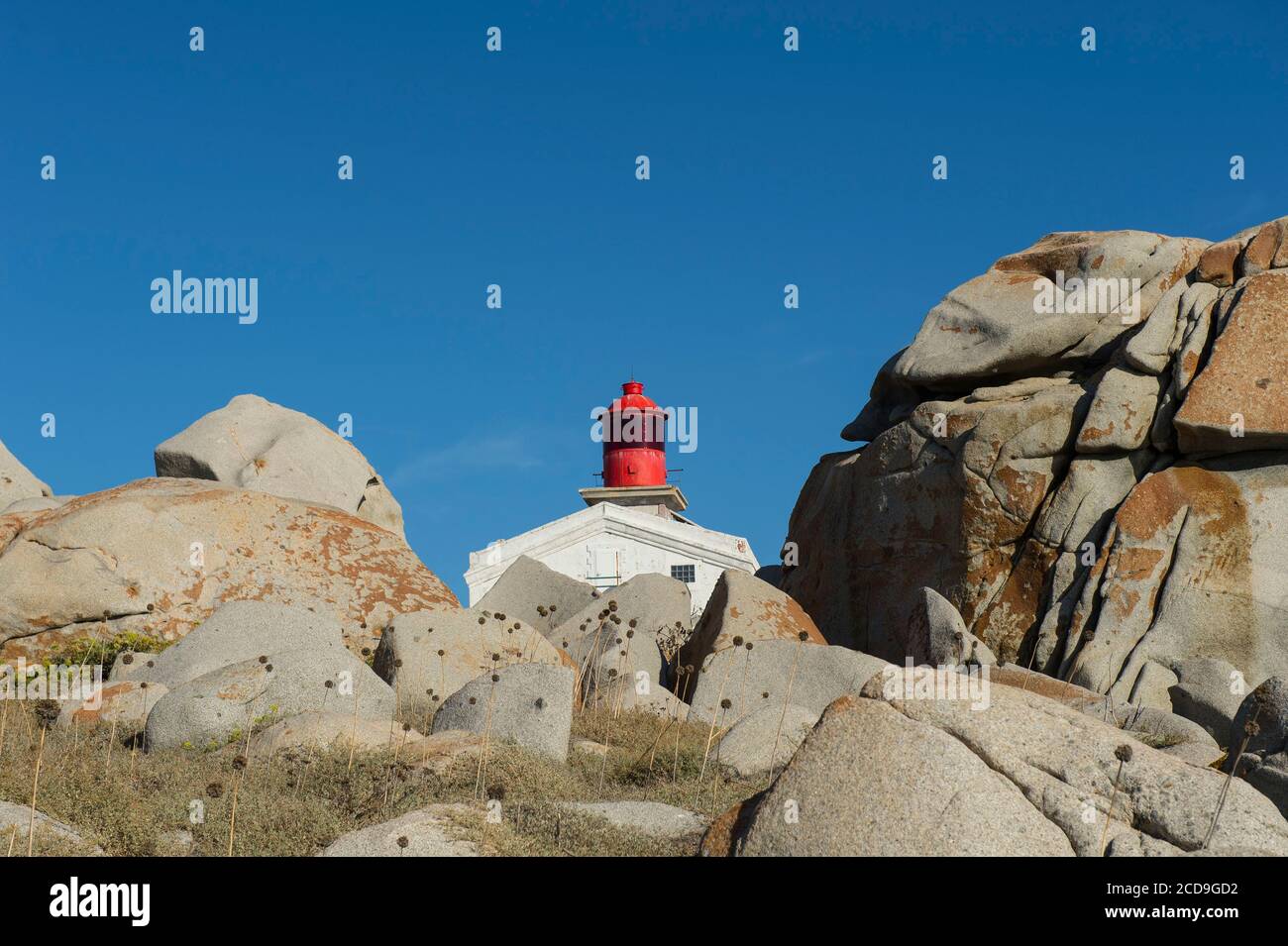 Francia, Corse du Sud, Bonifacio, Isole Lavezzi, riserva naturale delle bocche di Bonifacio, gli edifici del faro servono oggi come base per la squadra delle guardie della riserva Foto Stock