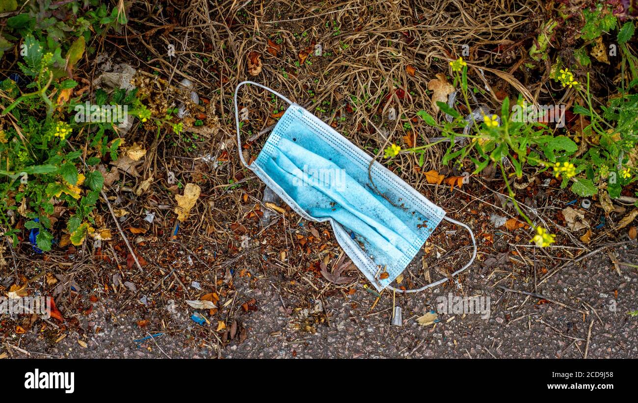 Maschere chirurgiche scartate giacenti sul terreno in un parco dove i cani camminano Foto Stock